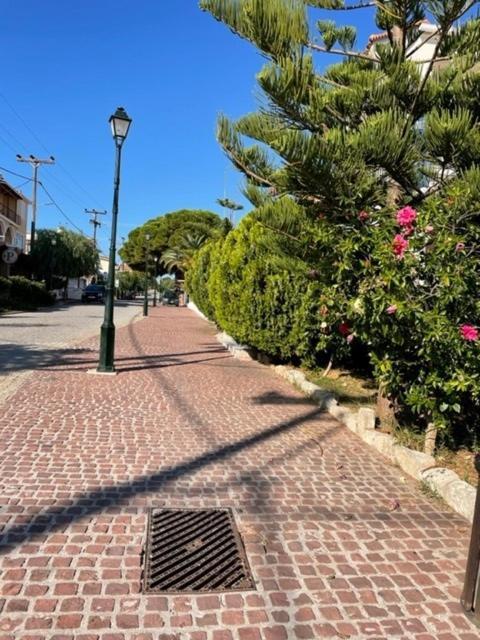 Apartament Dina
