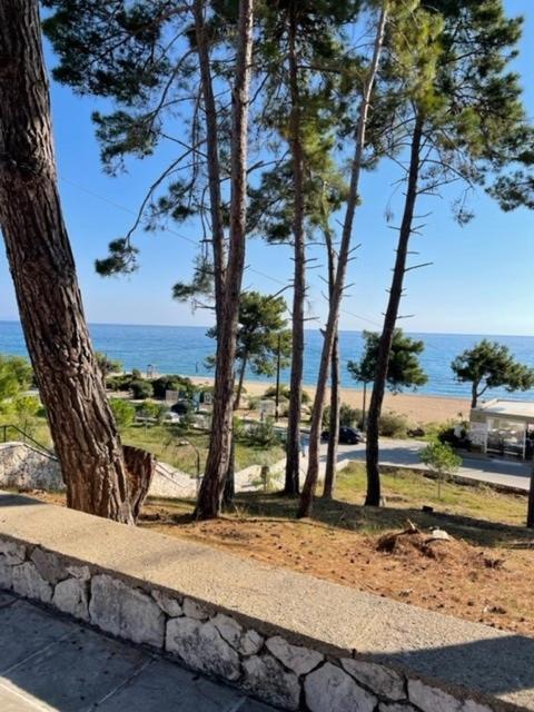 Dina Apartament Skala (Kefalonia)