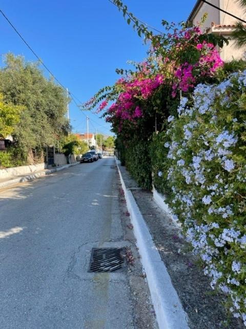 Apartament Dina Skala (Kefalonia)